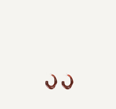 Earrings | carnelian