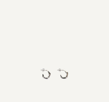 Earrings | silver