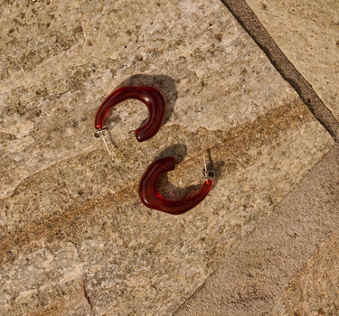 Earrings | carnelian