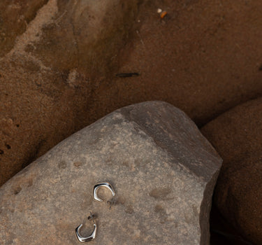Earrings | silver