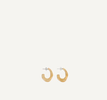 Earrings | pampas